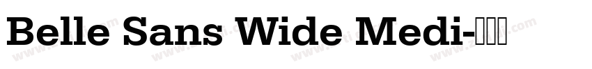 Belle Sans Wide Medi字体转换